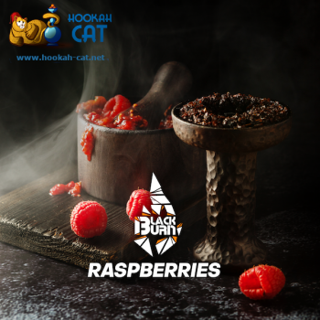 Табак для кальяна BlackBurn Raspberries (БлэкБерн Малина) 25г - фото 1